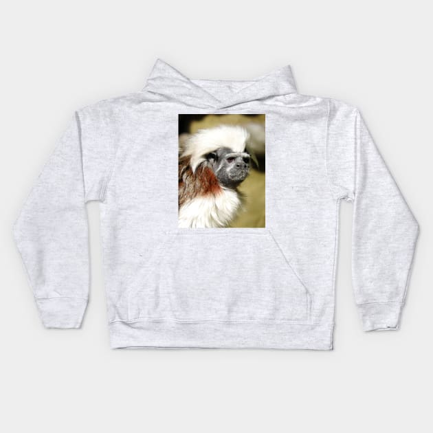 Cotton-top Tamarin Kids Hoodie by kirstybush